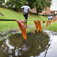 20200905malbork_DSC52501196.jpg