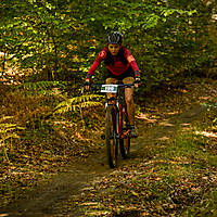 20201011mtbgdansk845.jpg