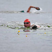 20210724swimrungoldap721.JPG