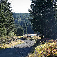 20211010-gravel-0054.JPG