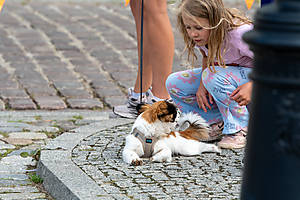 GTT Elblag 26-358.jpg