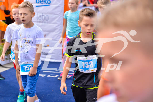 stezyca2017dystans500m-00030.jpg