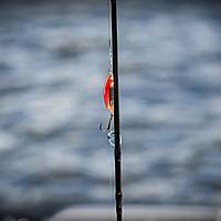 20180524fishing1058.jpg