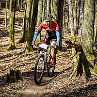 20190407mtbgdmx0594.jpg