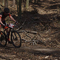 20190407mtbgd0830.jpg