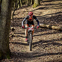 20190407mtbgd0983.jpg