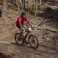 20190407mtbgd1127.jpg