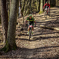 20190407mtbgd1136.jpg