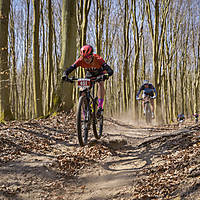 20190414mtbkolmx2212.jpg