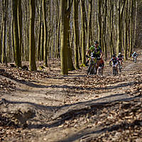 20190414mtbkolmx2284.jpg