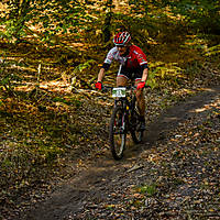 20201011mtbgdansk224.jpg