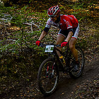 20201011mtbgdansk227.jpg