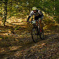 20201011mtbgdansk239.jpg