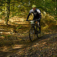 20201011mtbgdansk260.jpg