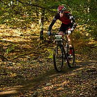 20201011mtbgdansk265.jpg