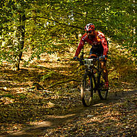 20201011mtbgdansk277.jpg