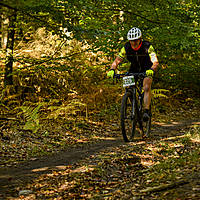 20201011mtbgdansk300.jpg