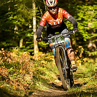 20201011mtbgdansk460.jpg