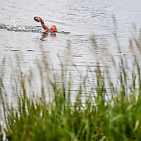 20210724swimrungoldap087.JPG