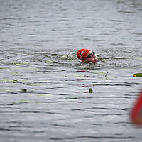 20210724swimrungoldap777.JPG