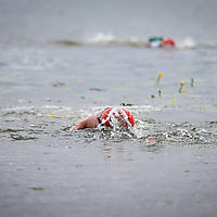 20210724swimrungoldap728.JPG