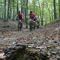 20210925_GMTB_WEJH0069.JPG