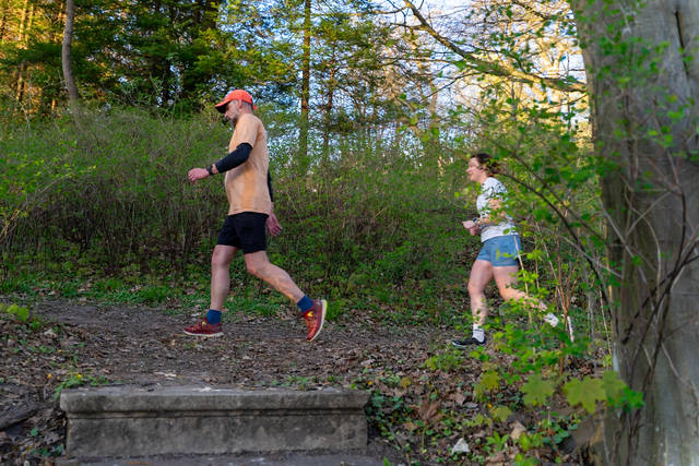 DSC08358.jpg