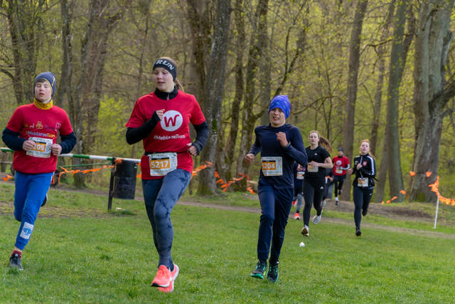 DSC00433.jpg