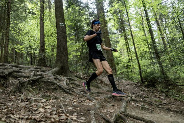 STO67544.jpg