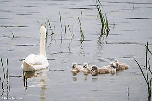 (326).jpg