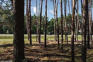 GTTstezyca20260038.jpg
