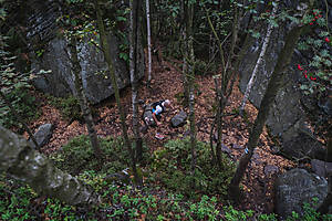 DSC06542.jpg