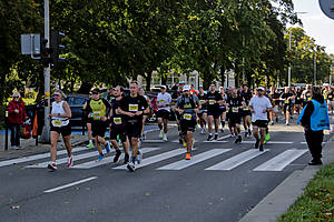 _MG_0137.jpg