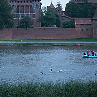 malbork16-02171.jpg