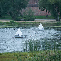 malbork16-02180.jpg