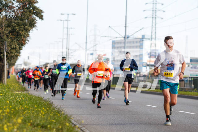 polmaratongdansk16-04056.jpg