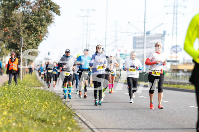 polmaratongdansk16-05033.jpg