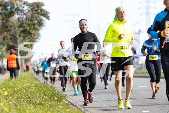 polmaratongdansk16-05062.jpg