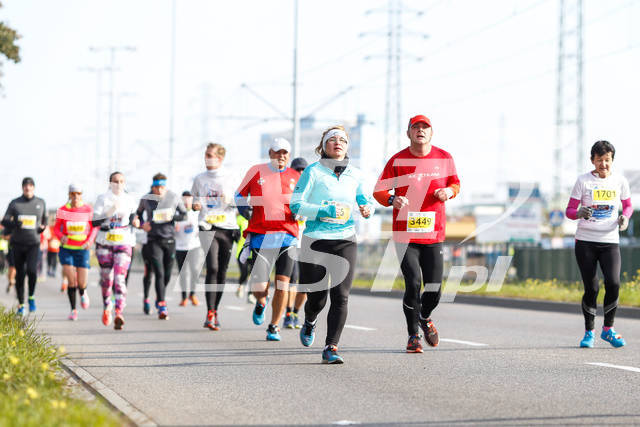polmaratongdansk16-05160.jpg