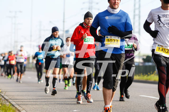 polmaratongdansk16-05228.jpg