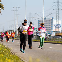 polmaratongdansk16-07122.jpg