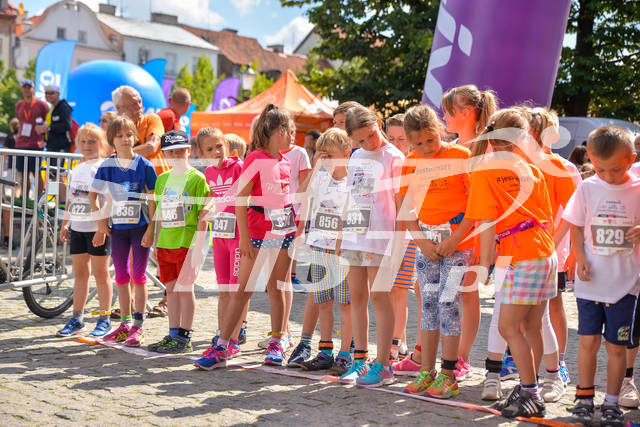plockbieg500m-00021.jpg