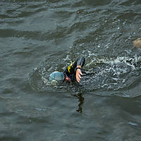 malbork17ironman-08159.jpg