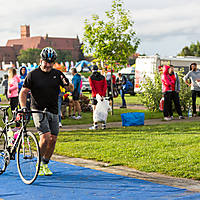 malbork17ironman-08824.jpg