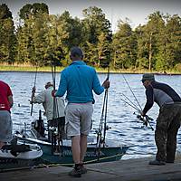 20180524fishing0908.jpg