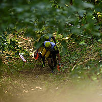 20180630swimrun1268.jpg