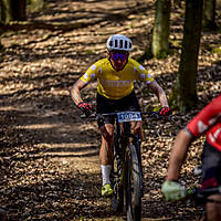 20190407mtbgdmx0501.jpg