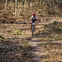 20190407mtbgdmx0817.jpg