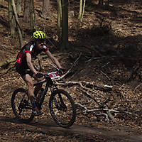 20190407mtbgd1010.jpg