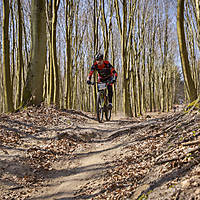 20190414mtbkolmx0607.jpg